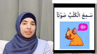 Arabic sentences in the past tense for beginners