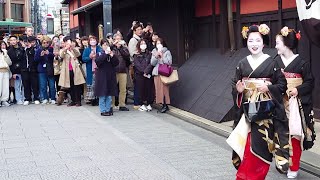 Geisha Walk in Gion Hanamikoji of Kyoto | 春の京都、祇園、花見小路を歩く外国人観光客と舞妓さん、海外の反応