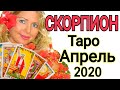 СКОРПИОН АПРЕЛЬ 2020/СКОРПИОН ТАРО на АПРЕЛЬ 2020