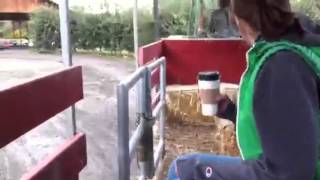Tractor Ride at pumpkin patch
