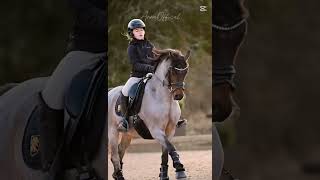 Little Girl And Pony