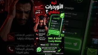 إنشاء حملات SMS احترافية وأتمتة الطلبات عبر Whats360