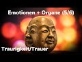 Emotionen + Organe (5/6): Traurigkeit/Trauer Mp3 Song