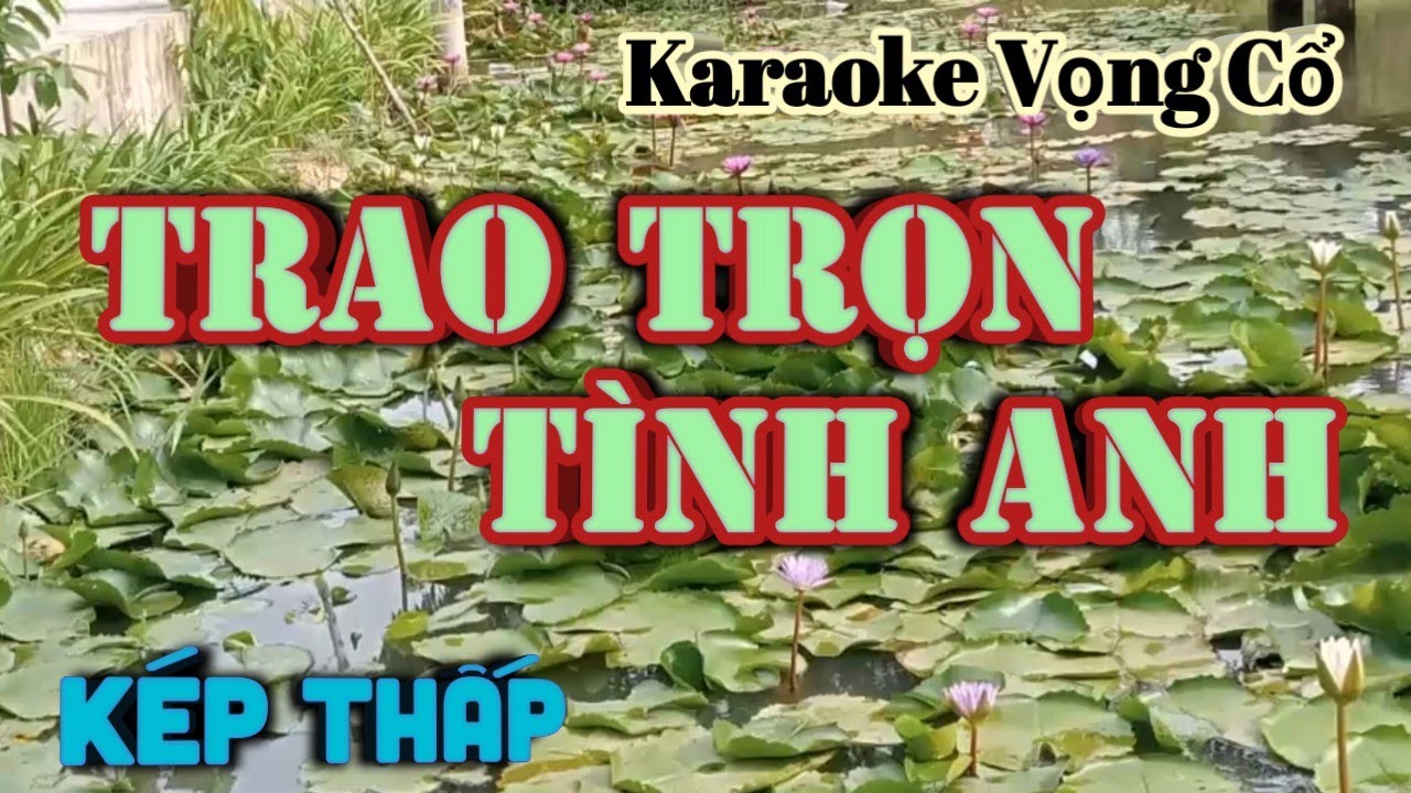 Karaoke Vọng Cổ Trao Trọn Tình Anh - Dây Kép Thấp - Tác giả : Nguyễn Hữu Nghĩa