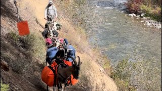 Idaho, pack goat elk adventure! by Jason Rossman 913 views 7 months ago 12 minutes, 12 seconds