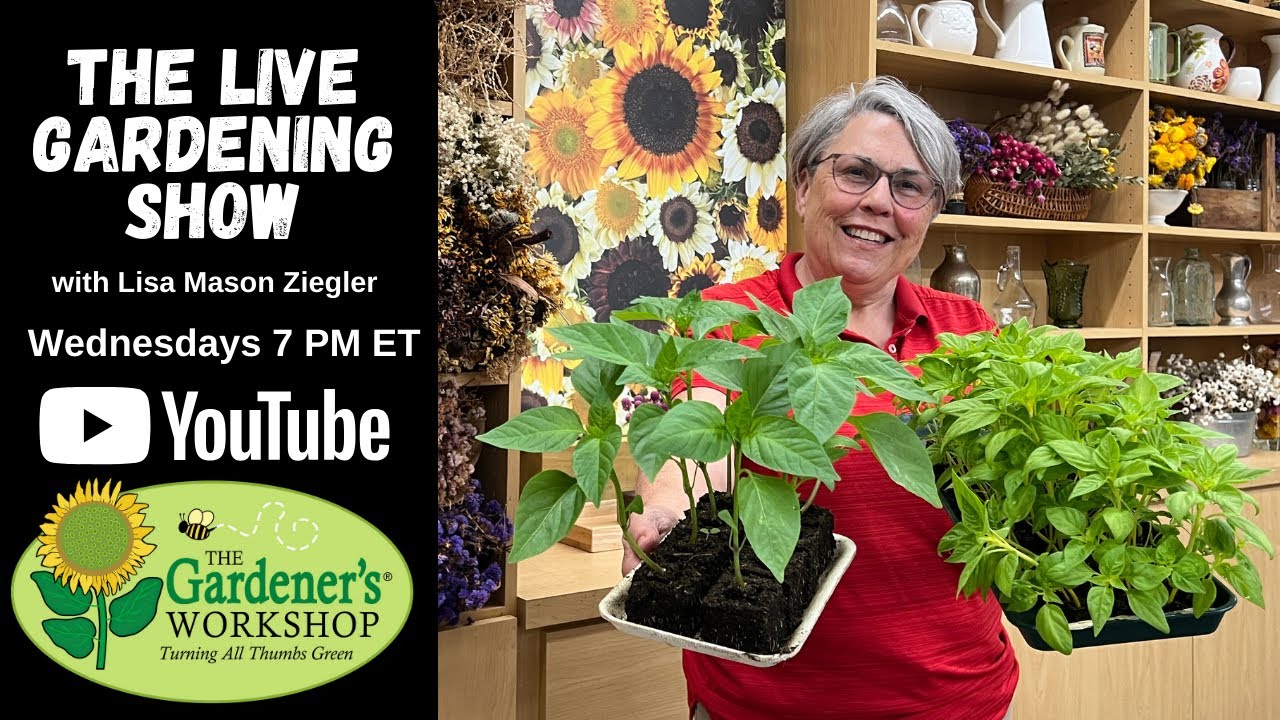 Favorite Fillers for Bouquets: Live Flower Gardening Show with