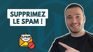 Comment supprimer LE SPAM sur WordPress ? (Commentaires & Emails)