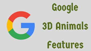 Google 3D Animals Features