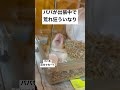 パパが出張で荒れ狂うハムスター#shorts #ハムスターかわいい面白い