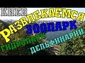 Киев: Зоопарк. Океанариум. Гидропарк. 2017. Майдан.