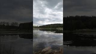 Method feeder łowienie drobnicy