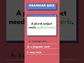 Simple English Grammar Quiz