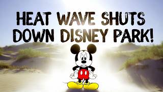 Heat Wave SHUTS DOWN All Outdoor Attractions at Disney Park! Plus Child Falls into Animal Enclosure!