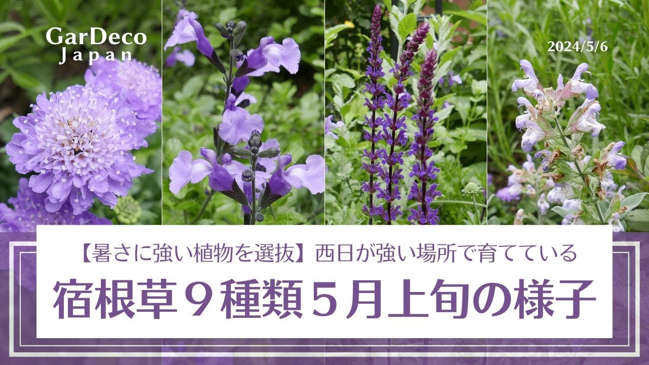 Selecting plants that can withstand the heat] Nine types of