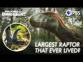 Utahraptor Discovery and Evolution Quiz