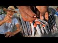 Aprende a ensalar Pejerrey SEÑUELO CASERO PARA LENGUADO - Pesca de Pejerrey en Pacifico Sur