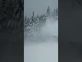 Cozy Winter Blizzard: Relaxing Ambient Music &amp; Snowstorm Sounds for Sleep #shorts