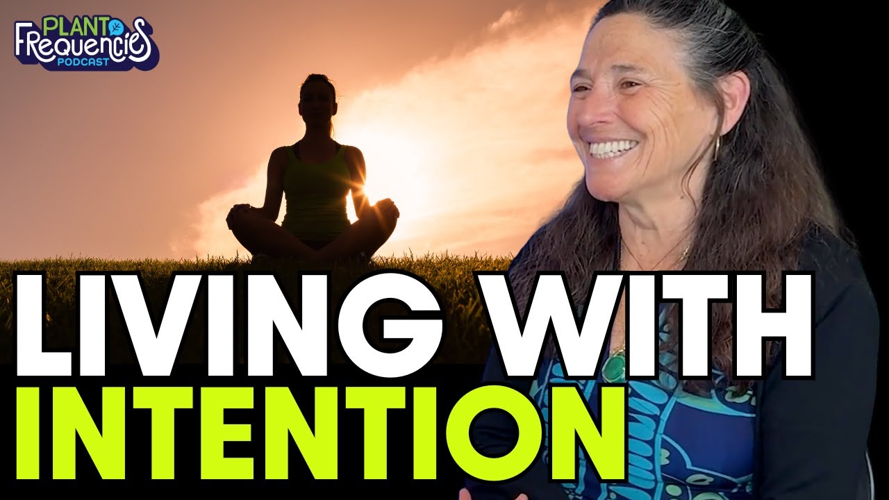 Dreaming Practice: How to Live Mindfully and Stay Present Every Day