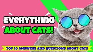 Everything about cats - Top 10 Questions and Answers - The Animal Planet