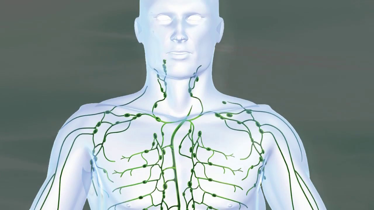 Lymphatic Drainage Alternatives | Detox | AIM Herbal Release