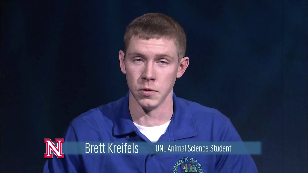 What is a poultry showmanship presentation? YouTube