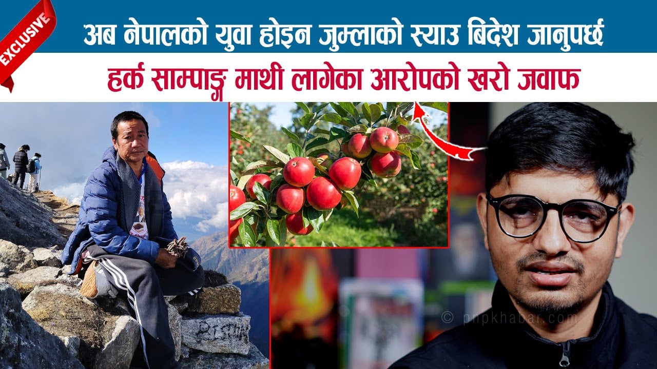 अब नेपालको युवा होइन जुम्लाको स्याउ बिदेश जानुपर्छ; हर्क साम्पाङ्गमाथी लागेका आरोपको खरो जवाफ; KAMAL