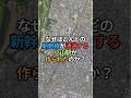 なぜ小山？東京の「反対運動」で誕生した駅の正体 #小山駅 #新幹線 #鉄道雑学 #地理 #shorts