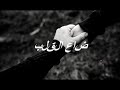 ضاع القلب