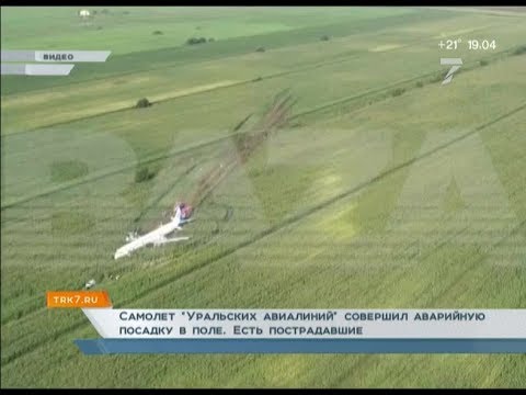 Пассажирский самолет экстренно сел в кукурузном поле в Подмосковье