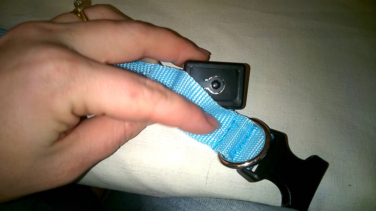 OxGord Led Dog Collar light Neck Collar YouTube