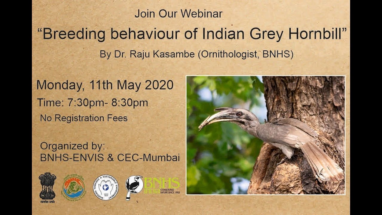 Webinar on 'Breeding Behavior of Indian Grey Hornbill' by Dr Raju