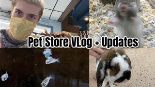 Pet Store Vlog + New Pet Updates!