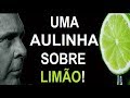 Uma aulinha sobre limão com o Dr. Lair Ribeiro