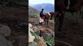 Herşey Bir Anda Oldu.. Everything Happened Suddenly