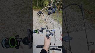 Compound Bow Trigger