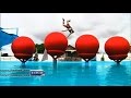 BEST OF- Chutes Total Wipeout