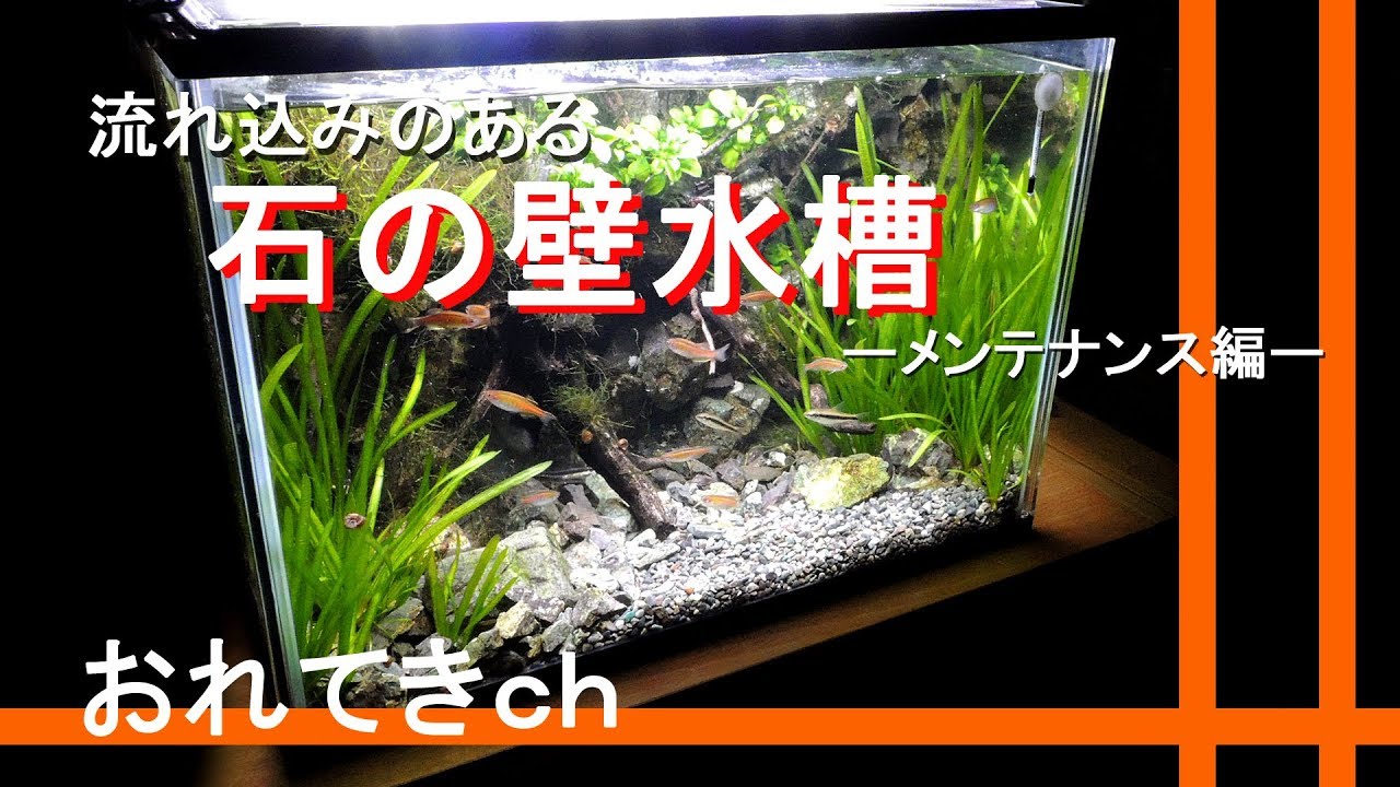 原石 天然石 水槽の石A 古代魚の水槽石 アクアリウム 大~小22個 その他