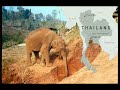 First Time Foreigners | Northern Thailand Travel Film