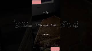 #subscribe #اكسبلور #دويتو #gogoshow #لايك