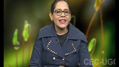 Plant Systematics : Biometrics Numerical Taxonomy and Cladistics - II