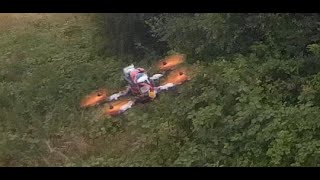 250 Quad Fun Tree Bashin