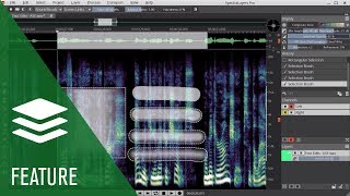 Advanced Selection Engine in SpectraLayers Pro | New Revolutionary Sound Editor