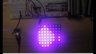 Control W2812B 8x8 Matrix LED Matrix/Neopixel with Raspberry Pi