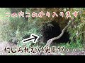 【廃隧道】手掘りの奇妙な穴を発見したので…いざ中へ