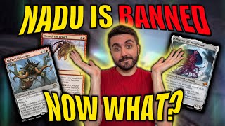 Eldrazi Decks to Play in Modern Now That Nadu is BANNED! | MTG