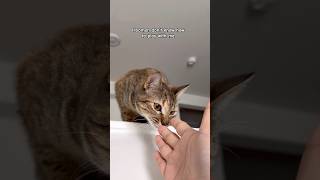 Hooman Dont Know How To Play With Me