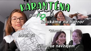 VLOG Z 2. KARANTÉNY pt. 8 - koukáme na horror, líčíme se, haul // juliet deer ft. sabča