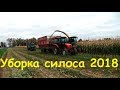 Уборка силоса 2018