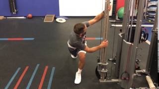 Split Stance Thoracic Rotation Mobility (with upper extremity drivers)