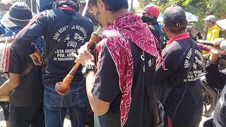 CUTA MUDA PARAKANSAAT@